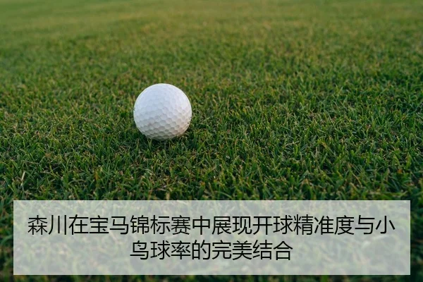 sen-chuan-zai-bao-ma-jin-biao-sai-zhong-zhan-xian-kai-qiu-jing-zhun-du-yu-xiao-niao-qiu-lv-de-wan-mei-jie-he-2-692.jpg