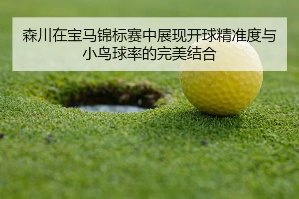 sen-chuan-zai-bao-ma-jin-biao-sai-zhong-zhan-xian-kai-qiu-jing-zhun-du-yu-xiao-niao-qiu-lv-de-wan-mei-jie-he-3-607.jpg