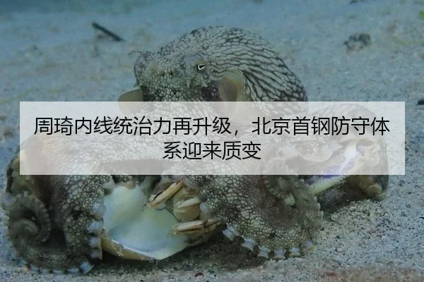 周琦内线统治力再升级，北京首钢防守体系迎来质变