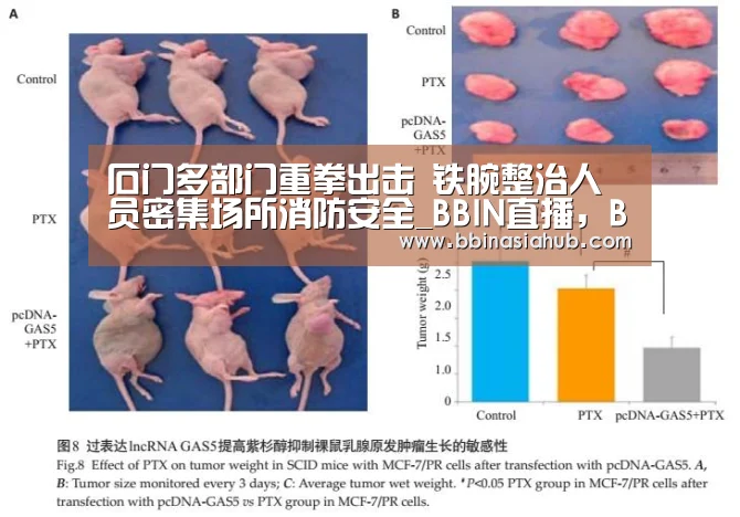 石门多部门重拳出击 铁腕整治人员密集场所消防安全_BBIN直播,BBIN百家乐,BBIN娱乐城,BBIN入口(图4) BBIN直播,BBIN百家乐,BBIN娱乐城,BBIN入口