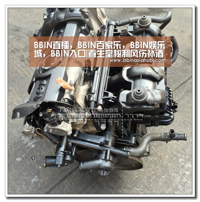 BBIN直播，BBIN百家乐，BBIN娱乐城，BBIN入口|春生堂秘制风伤补酒的