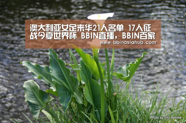 澳大利亚女足来华21人名单 17人征战今夏世界杯_BBIN直播,BBIN百家乐,BBIN娱乐城,BBIN入口(图3) BBIN直播,BBIN百家乐,BBIN娱乐城,BBIN入口