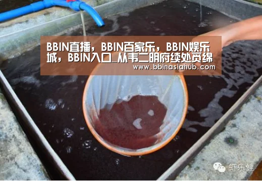 BBIN直播，BBIN百家乐，BBIN娱乐城，BBIN入口