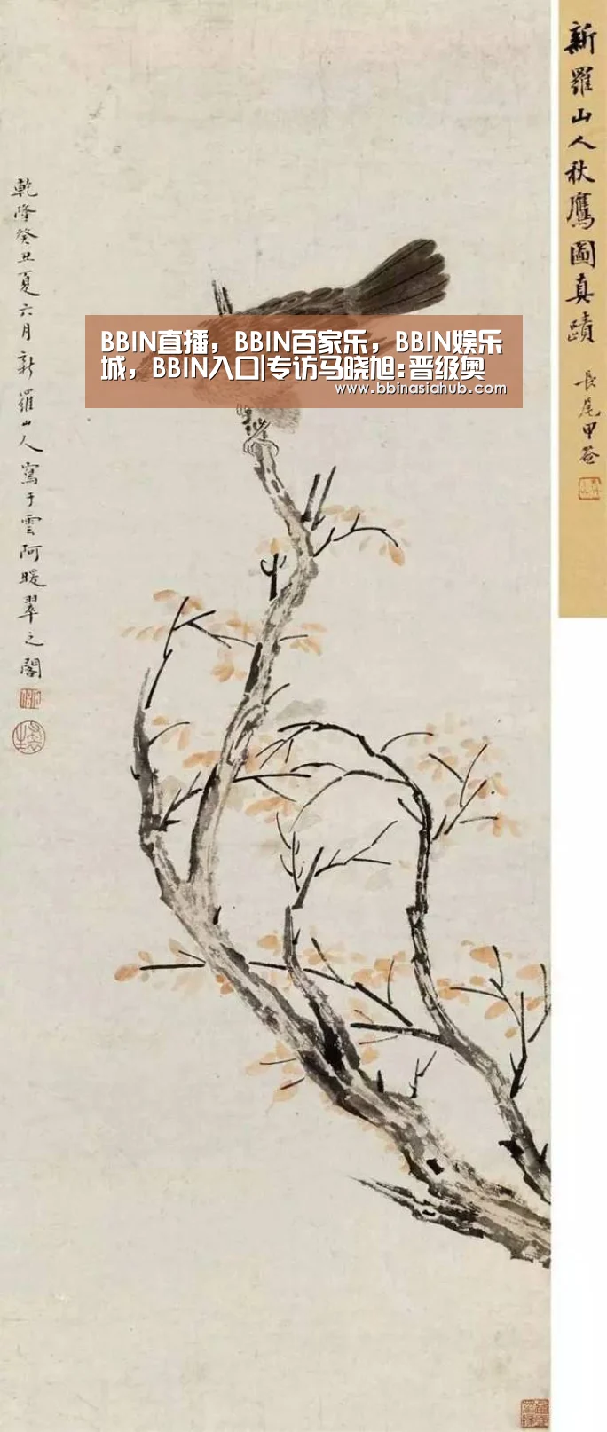 BBIN直播，BBIN百家乐，BBIN娱乐城，BBIN入口|专访马晓旭:晋级奥运