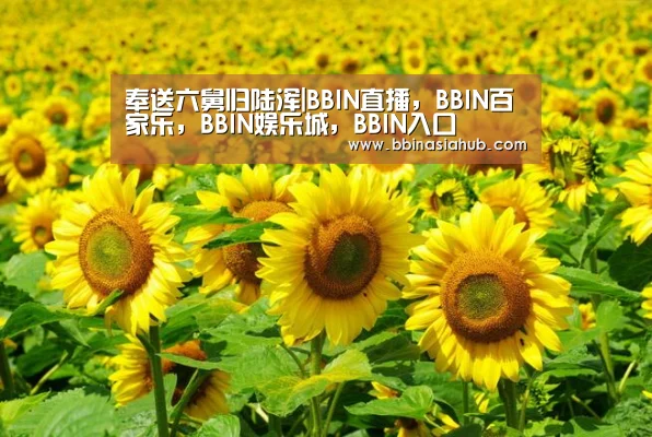 奉送六舅归陆浑|BBIN直播，BBIN百家乐，BBIN娱乐城，BBIN入口